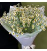 Милый букет из ромашек 1