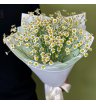 Милый букет из ромашек