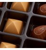 Шоколадные конфеты ассорти «Premium Pralines" 2